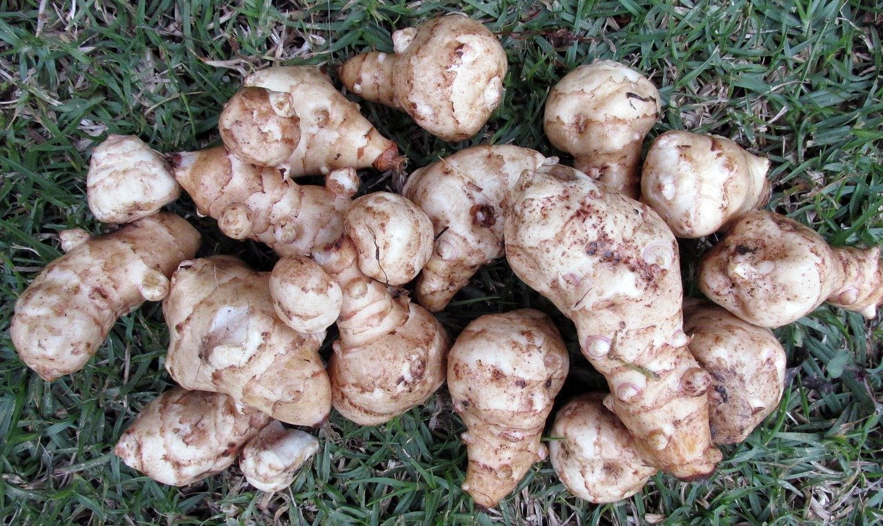 Why You Should Cook These Unusual Root Vegetables !