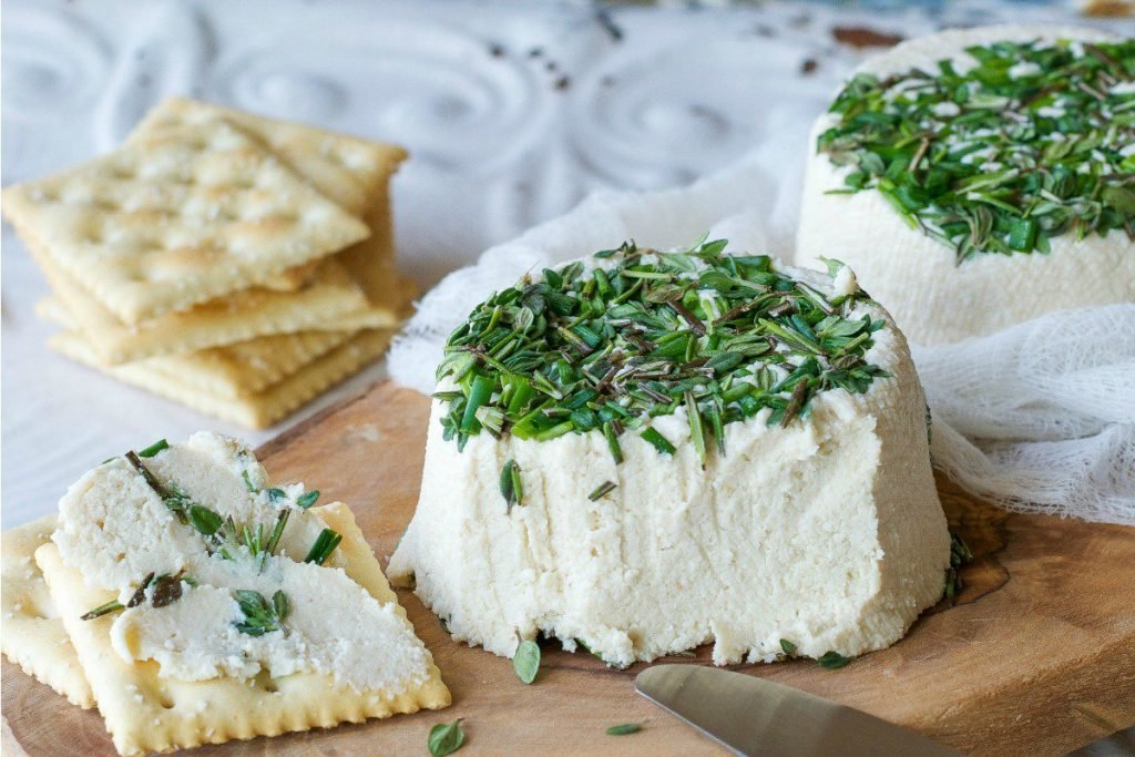 Create Your Own Vegan Cheese In Your Kitchen