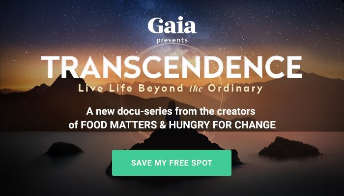 ranscendence A New Film That Will Change Your Life