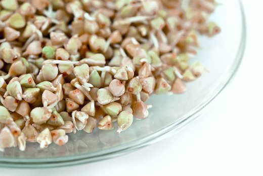 High Protein Buckwheat The Gluten Free Super Grain