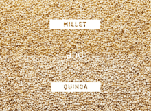 Millet Or Quinoa Which One Of These Healthy Grains To Prefer ?
