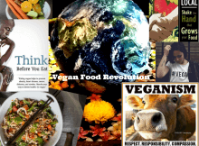 There Is A Vegan Food Revolution - Is Germany Leading ?