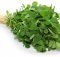 Fenugreek A Beneficial Herb, Spice And Amazing Medicine