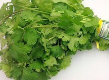 Coriander (Cilantro) Is More Than Just An Aromatic Herb