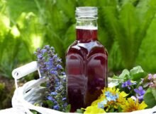 detoxifying herbs