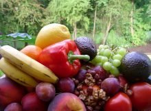 How Healthy Are Fruits And Vegetables - Do We Get Enough nutrients?