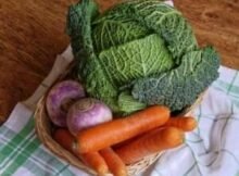 The Truth About Raw Food Diet and Diabetes - Does it Help?
