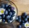 How Blueberries he Powerful Fruits Can Benefit Your Health