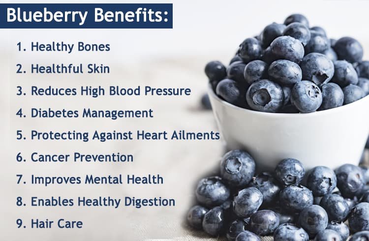 How Blueberries he Powerful Fruits Can Benefit Your Health
