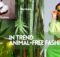 animal-free fashion