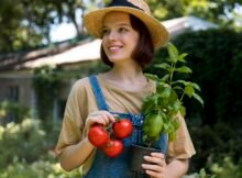 7 Reasons Why You Should Have An Organic Vegetable Garden