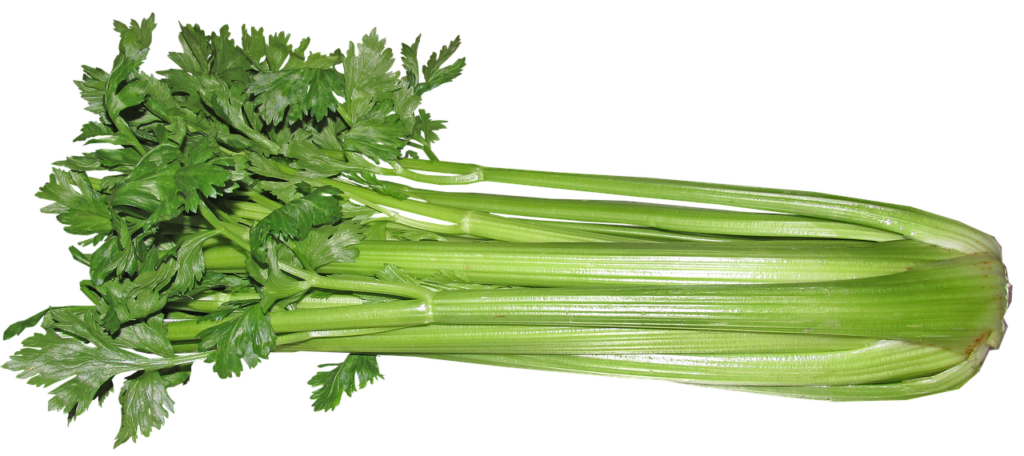 Recipes with Celery 